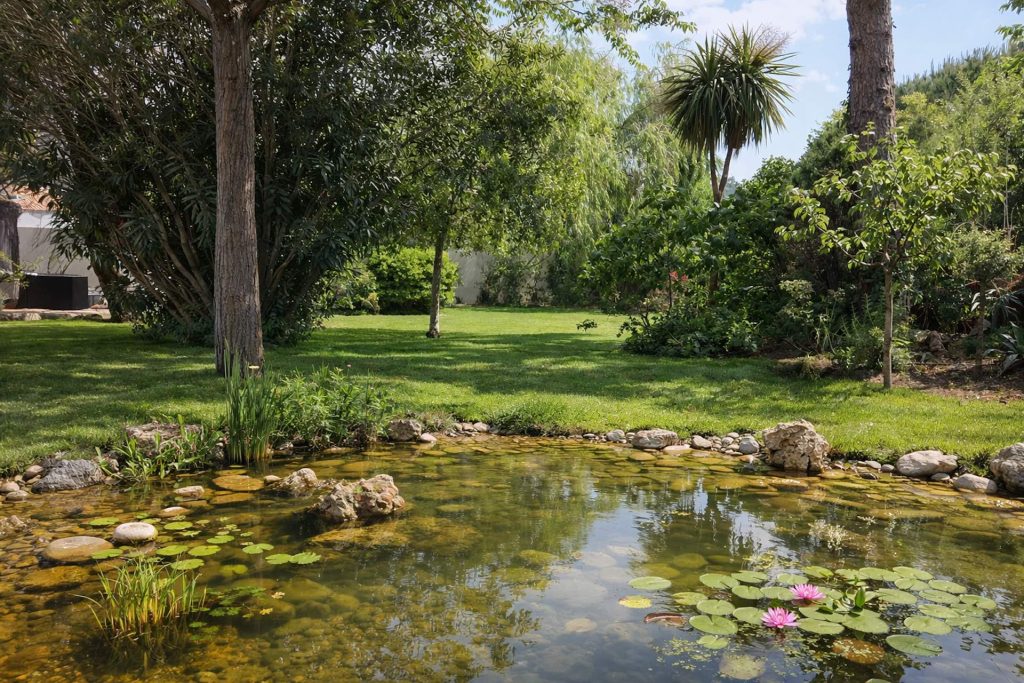 Création de jardin et entretien sur Montpellier, Lattes, Perols, ,Palavas les Flots, La Grande Motte, Carnon, Mauguio et castelnau le lez
